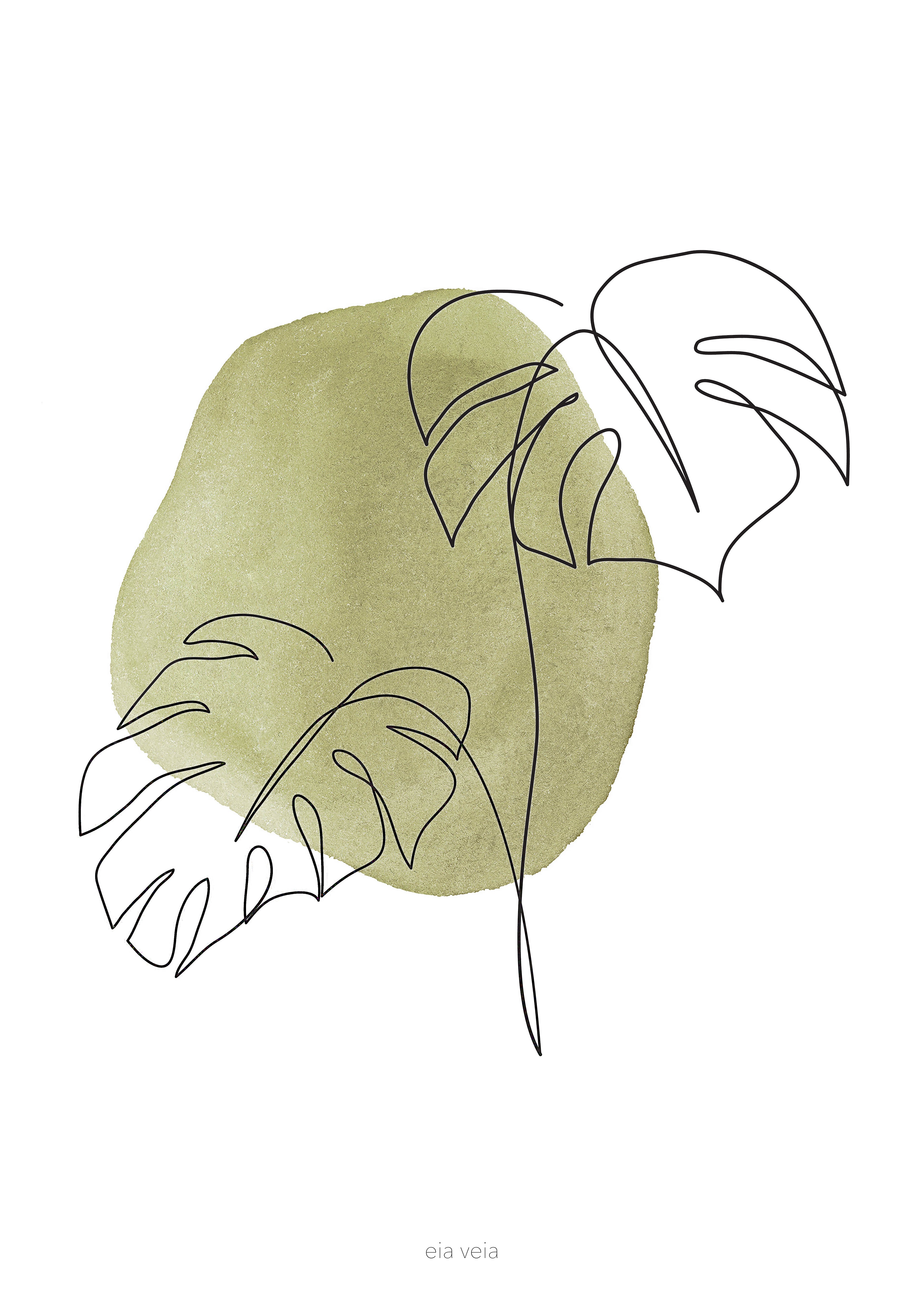 Monstera