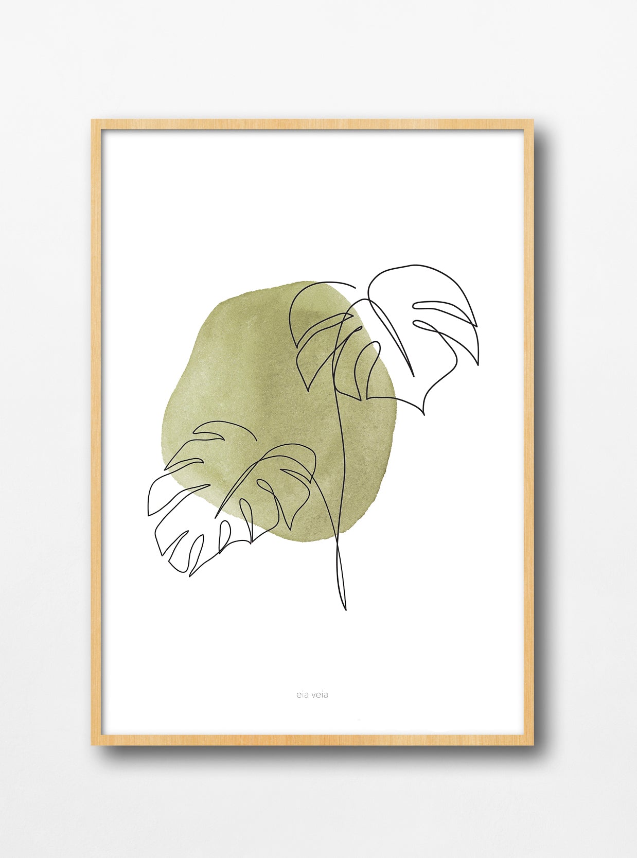 Monstera