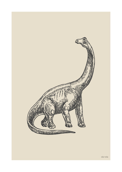 Brontosaurus