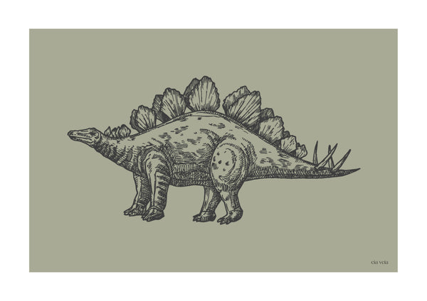 Stegosaurus