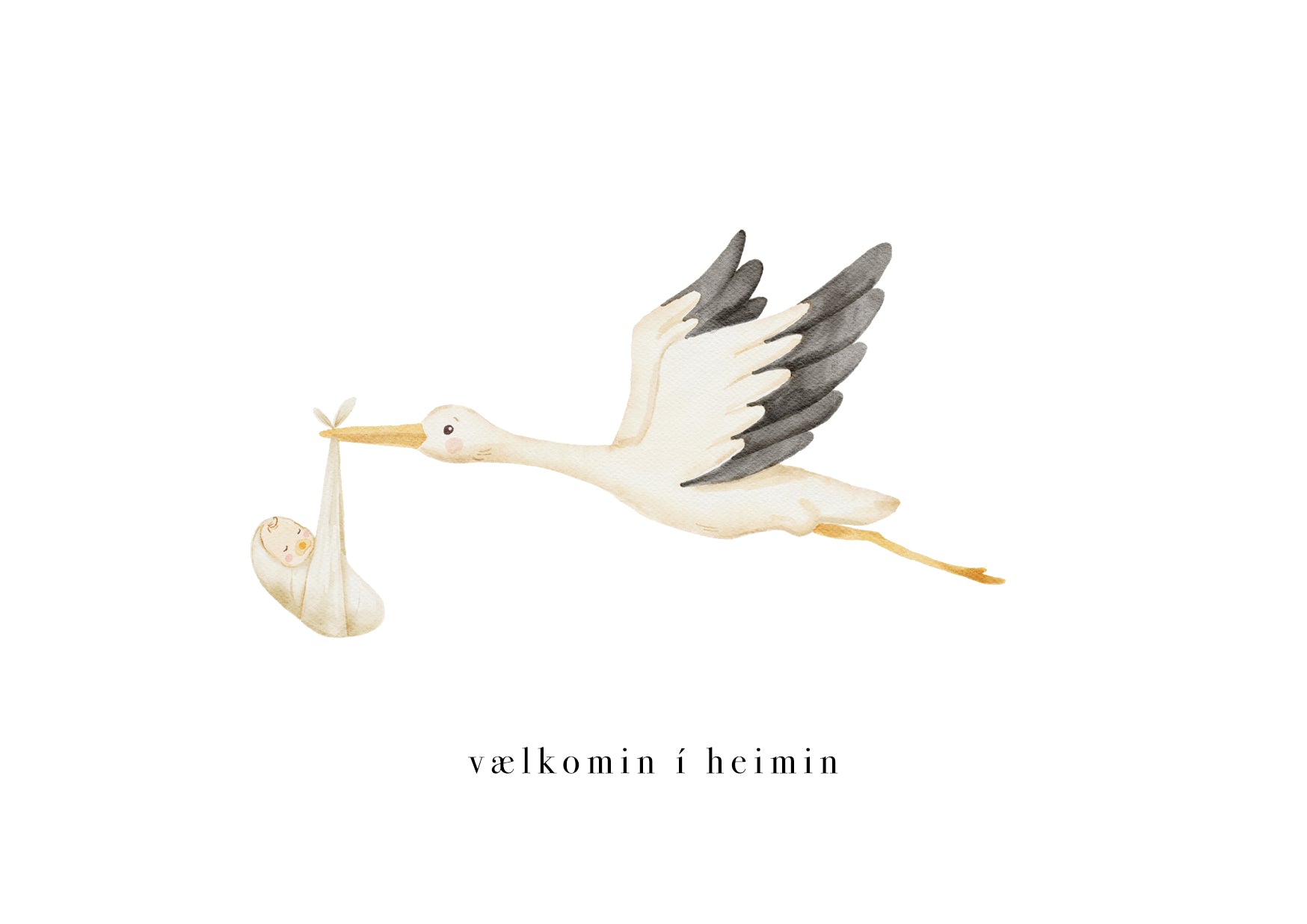Vælkomin í heimin